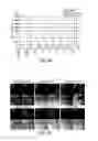 Fig. 03 - Cell-type specific aptamer-siRNA delivery system for HIV-1 therapy