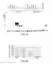 Fig. 08 - Cell-type specific aptamer-siRNA delivery system for HIV-1 therapy