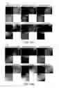 Fig. 14 - Cell-type specific aptamer-siRNA delivery system for HIV-1 therapy