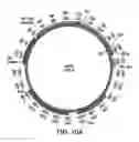 Fig. 29 - CRISPR/CAS-RELATED METHODS AND COMPOSITIONS FOR TREATING HERPES SIMPLEX VIRUS TYPE 1 (HSV-1)