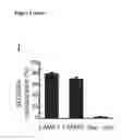Fig. 08 - ANTAGONISTS OF SLC38A9 AND THEIR USE IN THERAPY