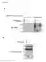 Fig. 25 - ANTAGONISTS OF SLC38A9 AND THEIR USE IN THERAPY