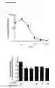 Fig. 34 - ANTAGONISTS OF SLC38A9 AND THEIR USE IN THERAPY