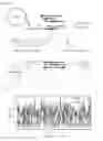Fig. 02 - METHOD FOR SUPPRESSING CELL GROWTH