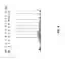 Fig. 07 - Compositions and methods for high efficiency in vivo genome editing