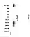 Fig. 12 - Compositions and methods for high efficiency in vivo genome editing
