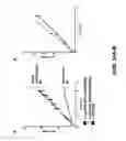 Fig. 41 - Compositions and methods for high efficiency in vivo genome editing