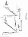 Fig. 42 - Compositions and methods for high efficiency in vivo genome editing