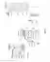 Fig. 07 - Production of 1-propanol