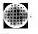 Fig. 03 - Method of constructing a recombinant that can produce specific-molecular-weight hyaluronic acids