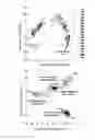 Fig. 07 - Method of analysing a sample including a microorganism of interest