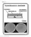Fig. 02 - Device for measuring antimicrobial activity of gas and method for measuring antimicrobial activity of gas