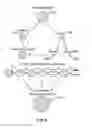 Fig. 09 - Systems and methods for obtaining a droplet having a designated concentration of a substance-of-interest