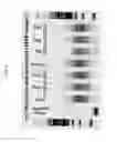 Fig. 07 - Multiplex targeted amplification using flap nuclease