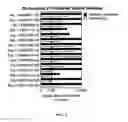 Fig. 04 - Diagnostic for Sepsis