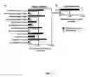 Fig. 07 - Diagnostic for Sepsis