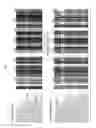 Fig. 03 - NUCLEIC ACID AMPLIFICIATION TECHNIQUES AND METHODS FOR DETECTING BACTERIAL INFECTION