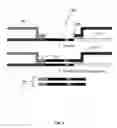 Fig. 04 - SAMPLE RETRIEVAL AND GENETIC ANALYSIS THEREOF