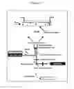 Fig. 20 - Device and methods for epigenetic analysis