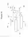Fig. 06 - Fluorous oligonucleotide microarray