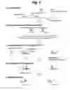 Fig. 06 - Detection of target nucleic acid sequences by PTO cleavage and extension assay