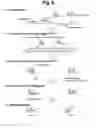 Fig. 07 - Detection of target nucleic acid sequences by PTO cleavage and extension assay