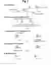 Fig. 08 - Detection of target nucleic acid sequences by PTO cleavage and extension assay