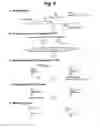 Fig. 09 - Detection of target nucleic acid sequences by PTO cleavage and extension assay