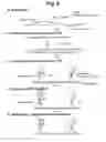 Fig. 10 - Detection of target nucleic acid sequences by PTO cleavage and extension assay