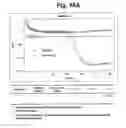 Fig. 20 - Detection of target nucleic acid sequences by PTO cleavage and extension assay