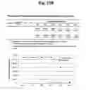 Fig. 26 - Detection of target nucleic acid sequences by PTO cleavage and extension assay