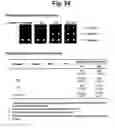 Fig. 31 - Detection of target nucleic acid sequences by PTO cleavage and extension assay