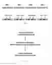 Fig. 03 - Methods and compositions for genomic target enrichment and selective DNA sequencing