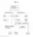 Fig. 02 - METHODS AND MATERIALS FOR IDENTIFYING THE ORIGIN OF A CARCINOMA OF UNKNOWN PRIMARY ORIGIN