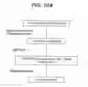 Fig. 16 - METHODS AND MATERIALS FOR IDENTIFYING THE ORIGIN OF A CARCINOMA OF UNKNOWN PRIMARY ORIGIN