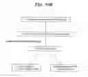Fig. 17 - METHODS AND MATERIALS FOR IDENTIFYING THE ORIGIN OF A CARCINOMA OF UNKNOWN PRIMARY ORIGIN
