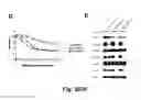 Fig. 06 - Methods for treating cancer resistant to ErbB therapeutics