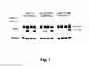 Fig. 13 - Methods for treating cancer resistant to ErbB therapeutics