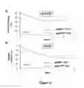 Fig. 05 - Method for predicting the responsiveness a patient to a treatment with an anti-CD20 antibody