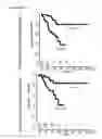 Fig. 12 - Methods and Compositions for Assessing Patients with Non-small Cell Lung Cancer