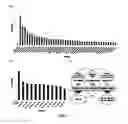 Fig. 03 - Method for assisting detection of pancreatic cancer