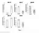 Fig. 04 - Method for assisting detection of pancreatic cancer