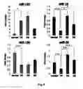 Fig. 07 - Method for assisting detection of pancreatic cancer