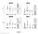 Fig. 10 - Method for assisting detection of pancreatic cancer