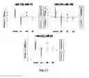 Fig. 12 - Method for assisting detection of pancreatic cancer