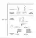 Fig. 04 - Individualized cancer therapy