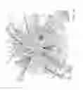 Fig. 09 - Individualized cancer therapy