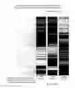 Fig. 12 - Individualized cancer therapy