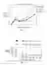 Fig. 23 - Individualized cancer therapy