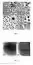 Fig. 02 - Fully alloyed AG—AU nanostructures